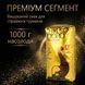 Кава в зернах Chicco D'oro Tradition 1 кг оригінальна швейцарська зернова кава